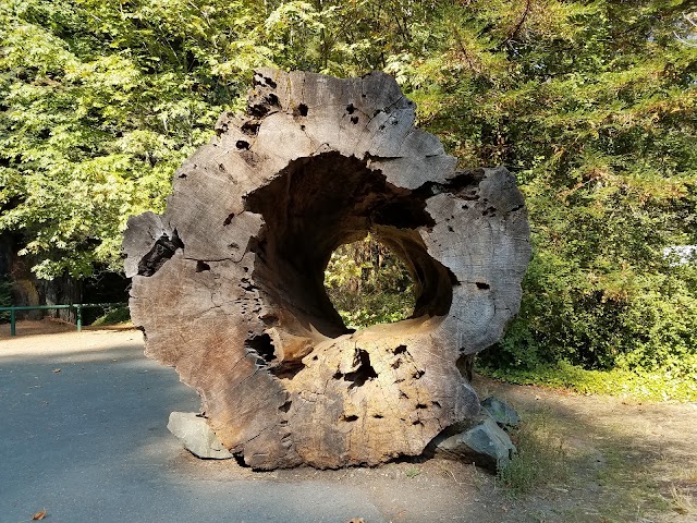 Parc d'État de Humboldt Redwoods