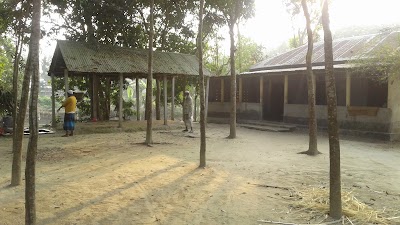 Photos of Ibrahimpur Jame Masjid