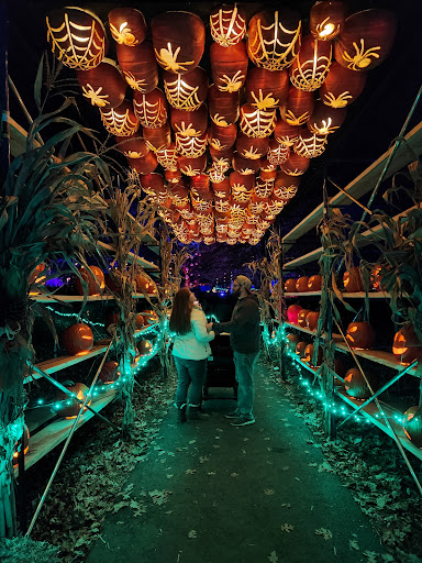 Jack O'lantern World - Visual