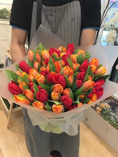 Photos of Dandelion Flower Shop