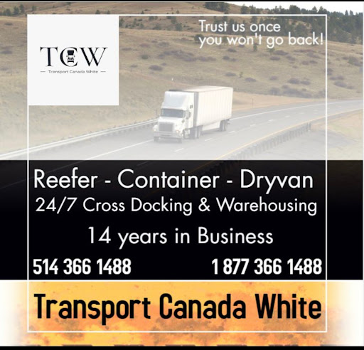 Transport Canada White - Thumbnail