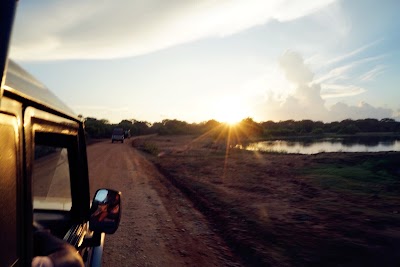 Photos of Yala Jeep Safaris
