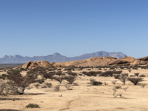 Échappée Namibienne Gallery - France