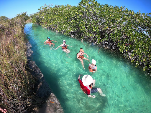 O2 Tulum Tours