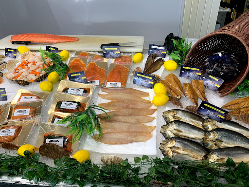 Pro Fish - Visual