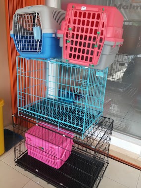 Praktek Drh. Citra Adha - Malmo Pet Care - Dokter Hewan & Pet Shop - Depok, Author: Praktek Drh. Citra Adha - Malmo Pet Care - Dokter Hewan & Pet Shop - Depok