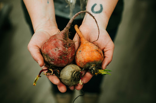 The Roaming Root Cellar - Visual