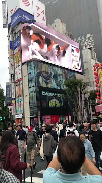 新宿東口の猫のカフェ