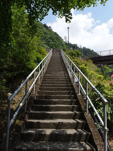 H.U.M Trail - Visual