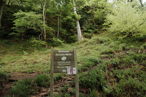 Dunollie Wood