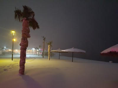 Photos of Struga City Park