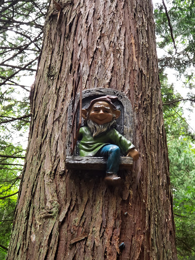 Enchanted Forest Trail - Thumbnail