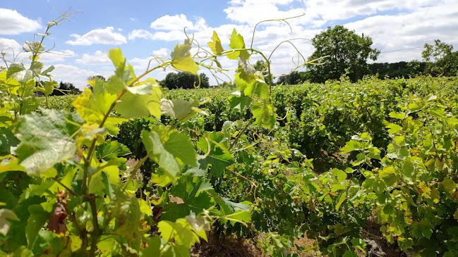 La Boisselière, 37700 La Ville-aux-Dames