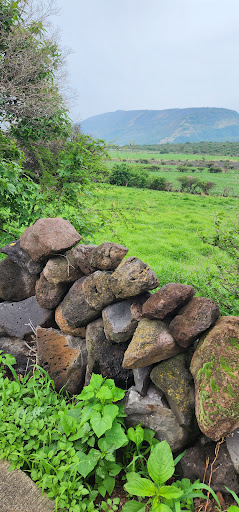 Lancho's Store