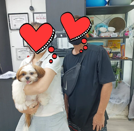 Petsvale Animal Cottage Gallery - Singapore