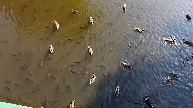 Hotel Thermal parking / garage - Parkovací dům