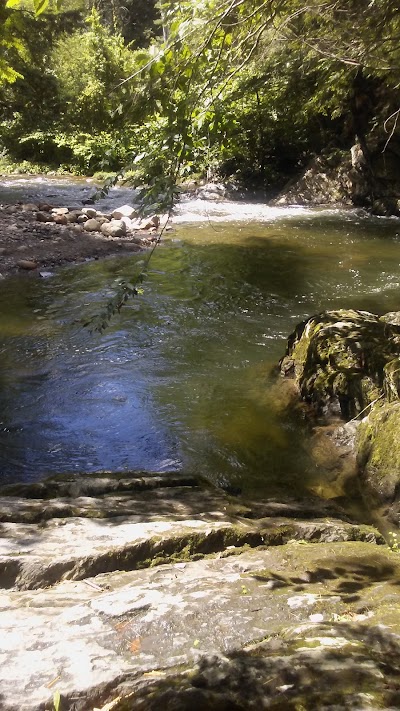 Photos of Fort Dummer State Park