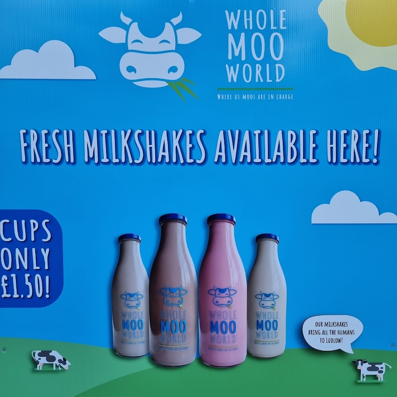 Whole Moo World Milk Vending Machine - Hereford Old Market photo 3