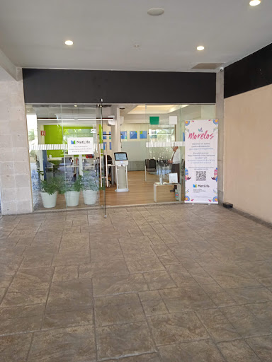 Micro Centro de Servicio MetLife Morelos