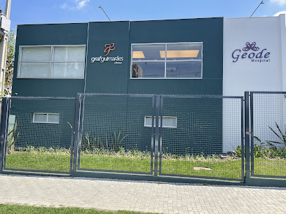 Clínica Graf Guimarães