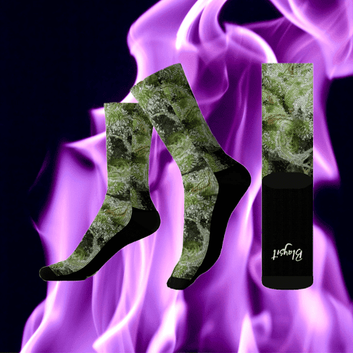 Blaysit - Visual