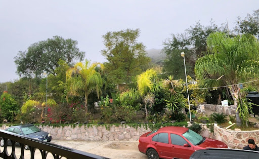 Finca de los Abuelos - Thumbnail