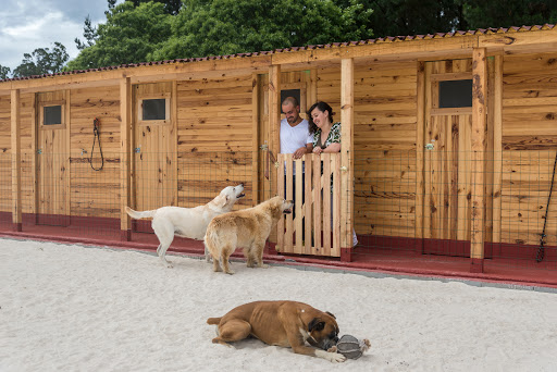 Hotel para perros La Cabaña de la Zarpa