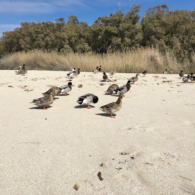 Spiaggia di Kala e Moru