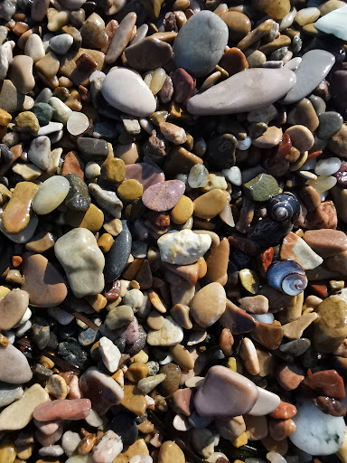 Plage de Bridgeville - Thumbnail