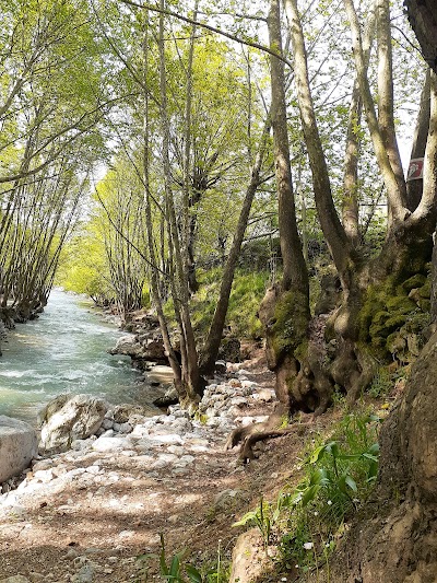 Ayngebire Piknik Alanı