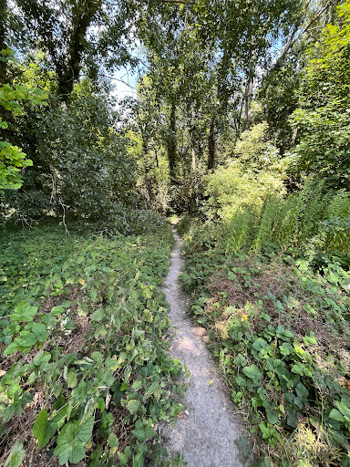 The Denny moat - Thumbnail