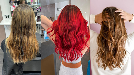 Salon2 - Visual