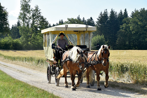 HAUT DOUBS SABOTS - Thumbnail