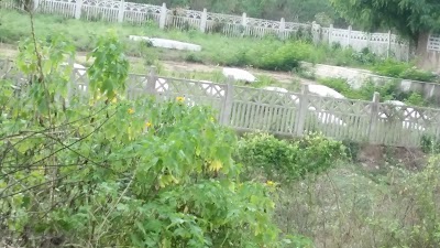Photos of Les Rosiers