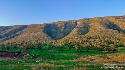 Photos of Wellat J&ecirc;r&icirc;