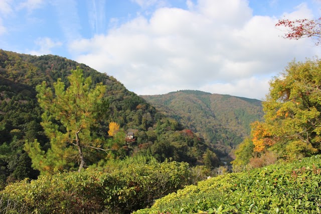 Okochi Sanso Gorge Observation Deck