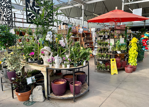 Wallace's Garden Center - Thumbnail