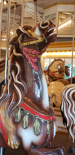 Riverview Carousel - Visual