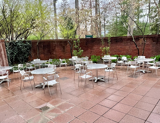 Olin Cafe - Visual