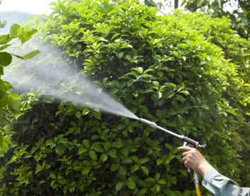 FOX Lawn Mowing & Gardening Panorama - Thumbnail