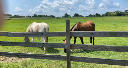 Dix Camelot Farms and RIDING ACADEMY - Thumbnail