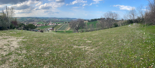 Hoppípolla - Visual