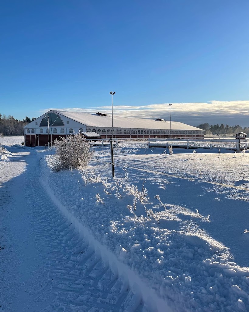 Ridskola i Stockholm / Skalmsta Ridcenter