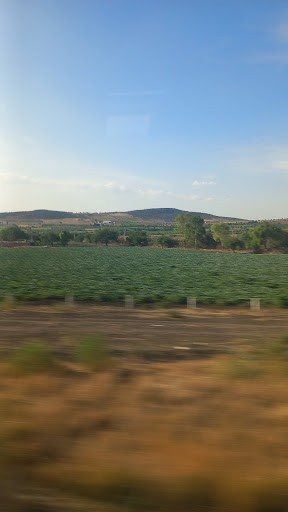 Ojo De Agua De La Trinidad-Umaps
