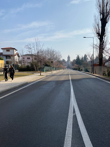 Insubria - Visual