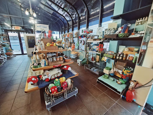 Dogma Grooming + Pet Needs by null