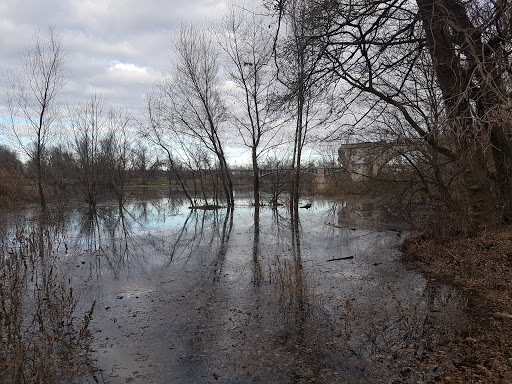 Camping des Acacias - Thumbnail