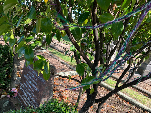 Kate Sheppard's grave - Thumbnail