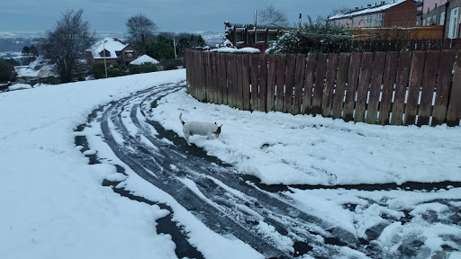Bargoed Park - Visual