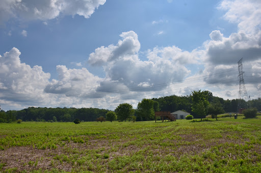 Beaver Township Nature Preserve